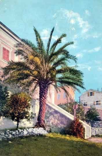 Galerija slika staroga Lošinja (1)