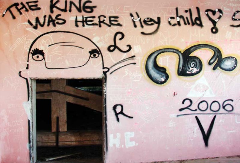 Grafiti na Velopinu (2)