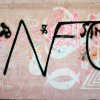 Grafiti na Velopinu (2)