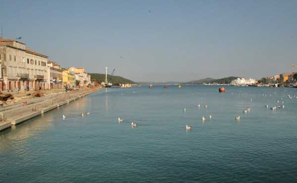 zlu