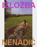 nenadic1