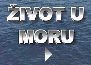 zivotumoru