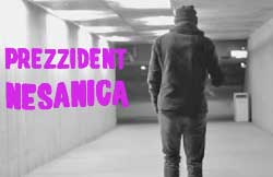 nesanica