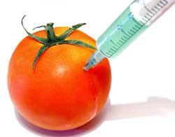 Hrvatska bez GMO