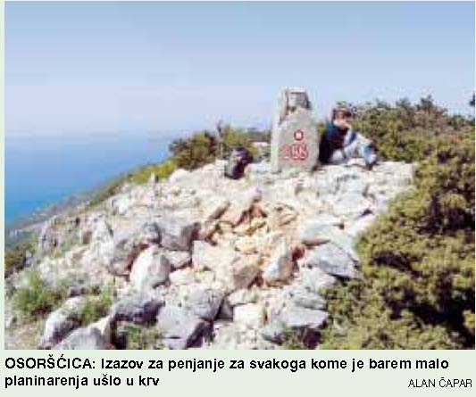 Osorščica