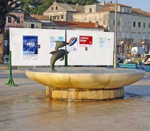 izbori i dupini