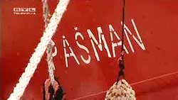 pašman