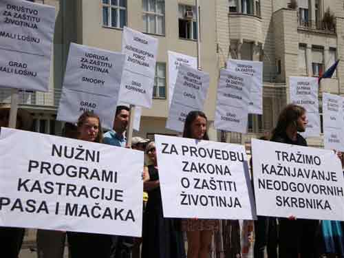 zastita1 zastita1