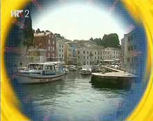 plavi_cvijet