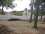 mirasol