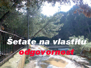 slika006