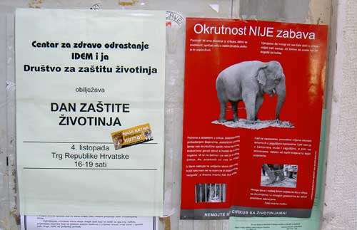 Dan zaštite životinja