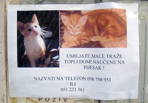 Dan zaštite životinja