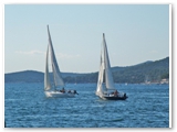 DSCF0181