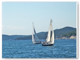 DSCF0188