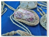 DSCF0240
