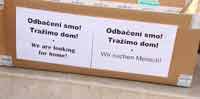 odbaceni_smo1