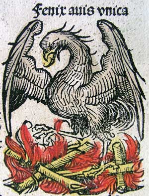 Phoenix
